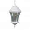 Applique Suspension 6 Faces 100W Blanc - INITIALIS