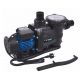 Pompe Filtration Piscine Hors Sol et Enterrée 800W 19m³/h Auto Amorçante STEINER