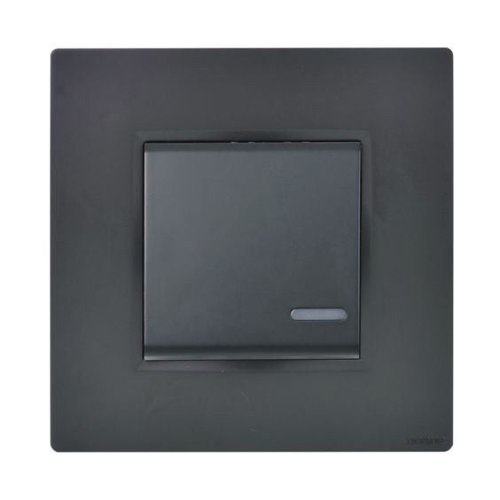 Interrupteur Lumineux + Support Anthracite NOANE