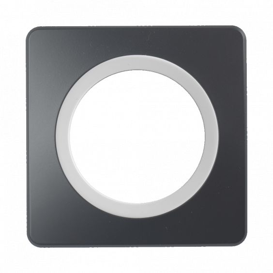 Plaque Simple Gris Anthracite Insert Blanc EPURE