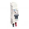 Disjoncteur 2A automatique 1P+N 4.5kA NALTO