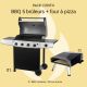 Pack Barbecue 5 Feux Gaz + Four à Pizza Gaz ROSTER
